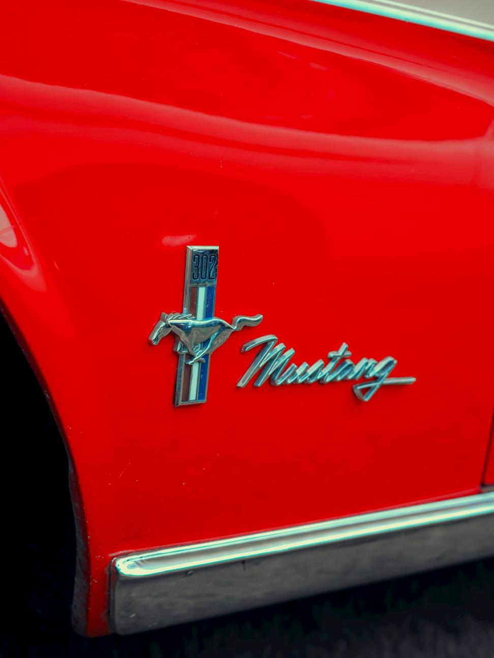 1955 Thunderbird restoration